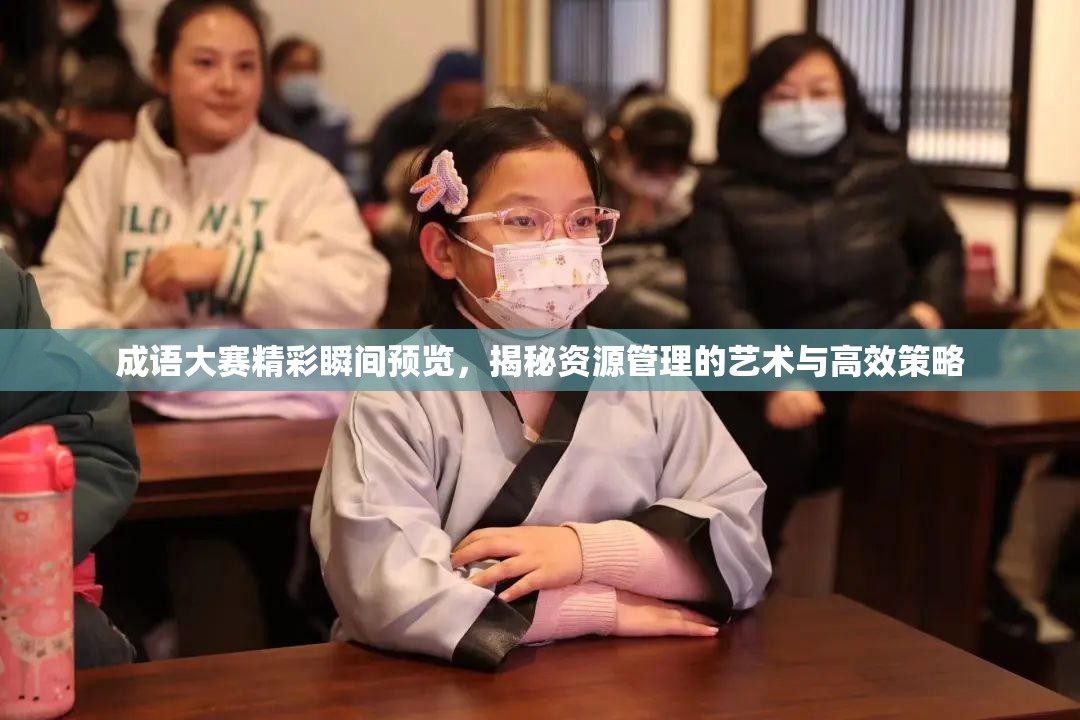 成语大赛精彩瞬间预览，揭秘资源管理的艺术与高效策略