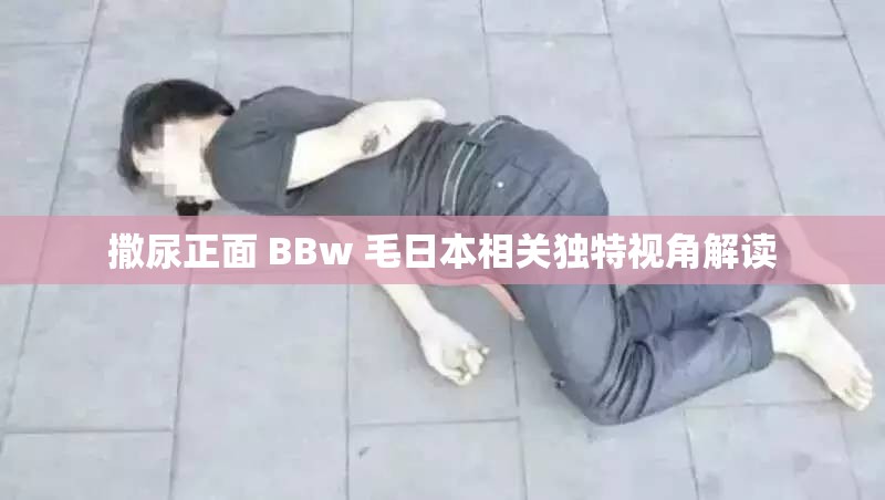 撒尿正面 BBw 毛日本相关独特视角解读