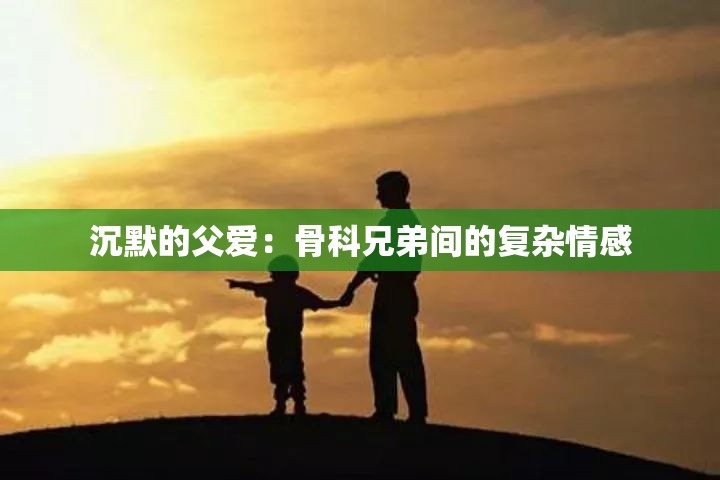 沉默的父爱：骨科兄弟间的复杂情感