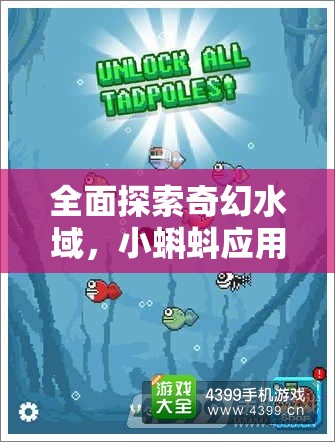 全面探索奇幻水域，小蝌蚪应用安装与配置详细步骤全攻略