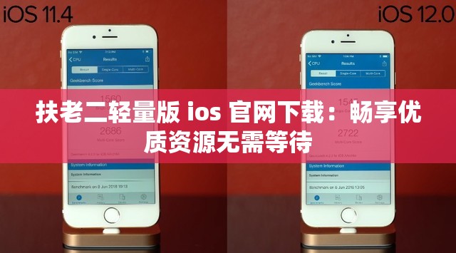 扶老二轻量版 ios 官网下载：畅享优质资源无需等待
