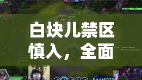 白块儿禁区慎入，全面安装与配置指南，助你轻松驾驭挑战之旅