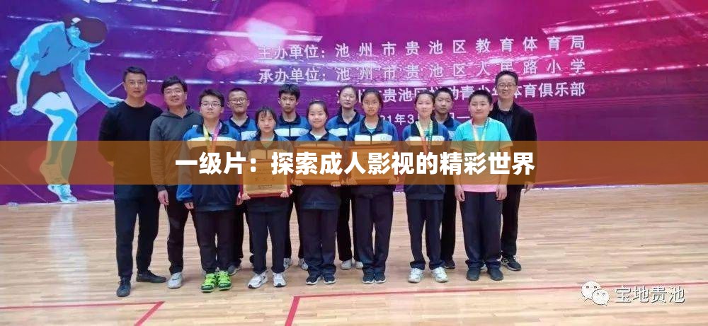 一级片：探索成人影视的精彩世界
