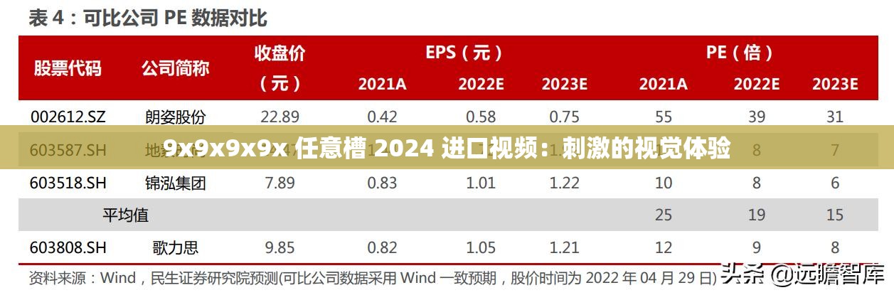 9x9x9x9x 任意槽 2024 进口视频：刺激的视觉体验