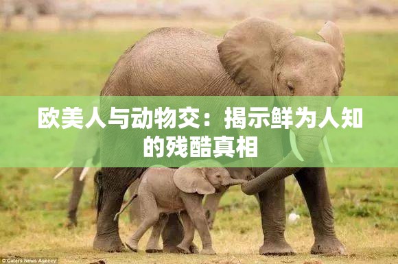欧美人与动物交：揭示鲜为人知的残酷真相