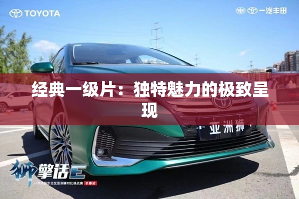 经典一级片：独特魅力的极致呈现