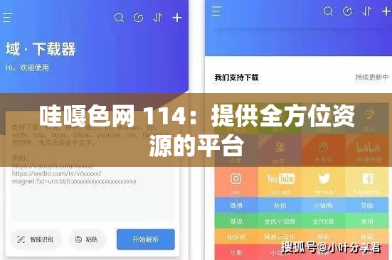 哇嘎色网 114：提供全方位资源的平台