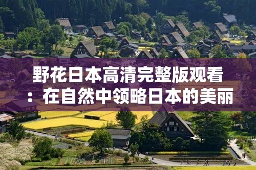 野花日本高清完整版观看：在自然中领略日本的美丽与纯粹