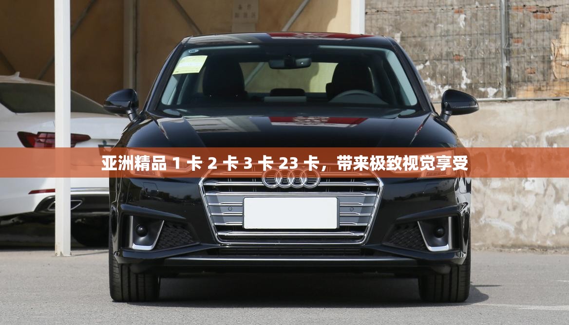 亚洲精品 1 卡 2 卡 3 卡 23 卡，带来极致视觉享受