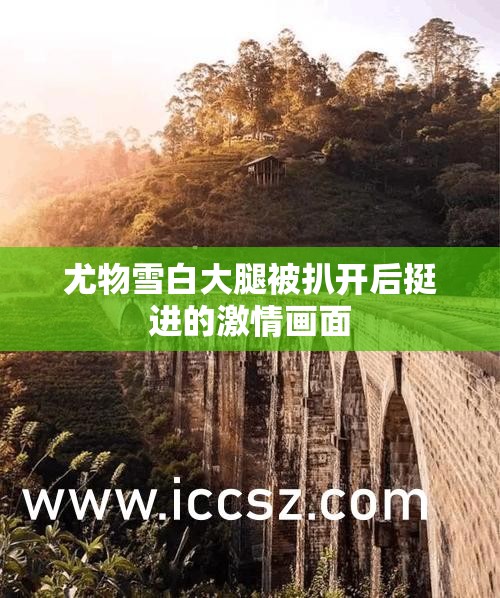 尤物雪白大腿被扒开后挺进的激情画面