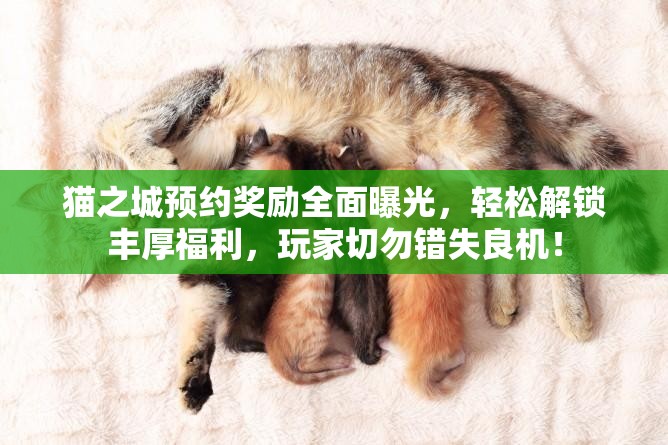 猫之城预约奖励全面曝光，轻松解锁丰厚福利，玩家切勿错失良机！