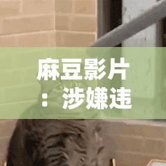 麻豆影片：涉嫌违法传播的不良内容应坚决抵制