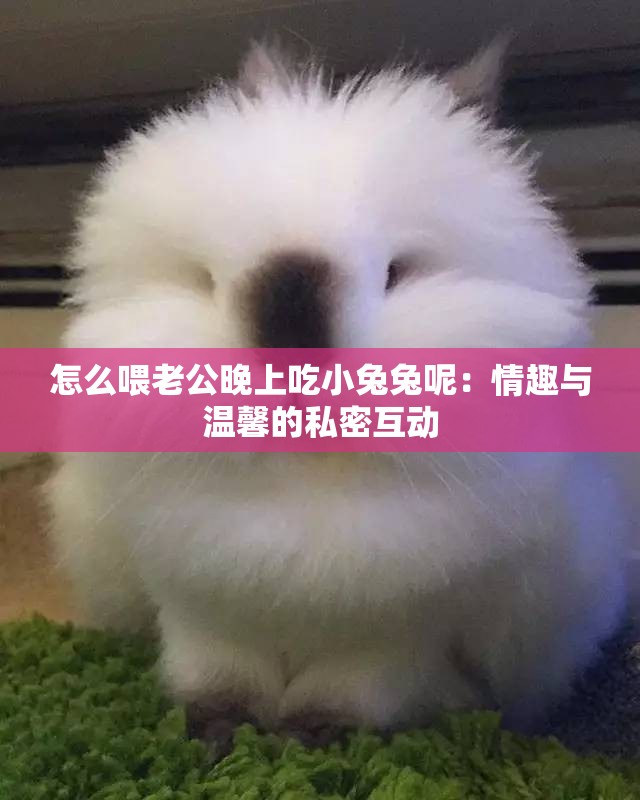 怎么喂老公晚上吃小兔兔呢：情趣与温馨的私密互动