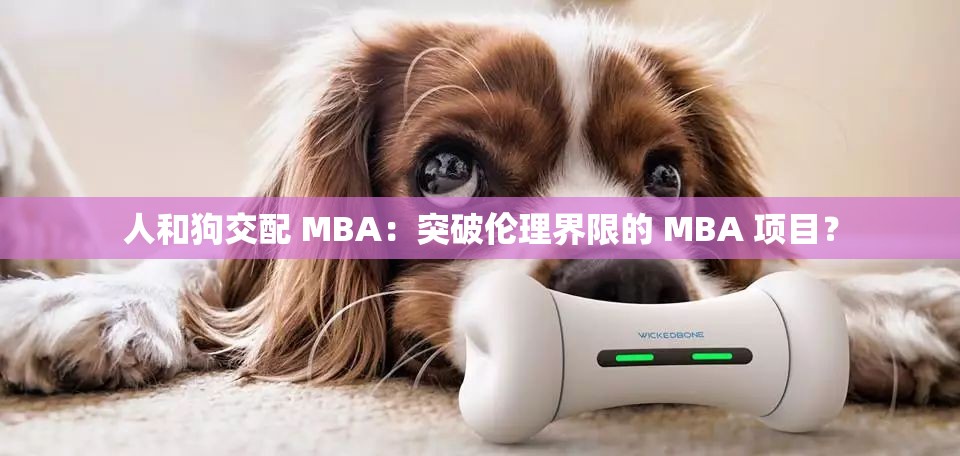 人和狗交配 MBA：突破伦理界限的 MBA 项目？