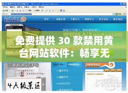 免费提供 30 款禁用黄台网站软件：畅享无干扰网络体验