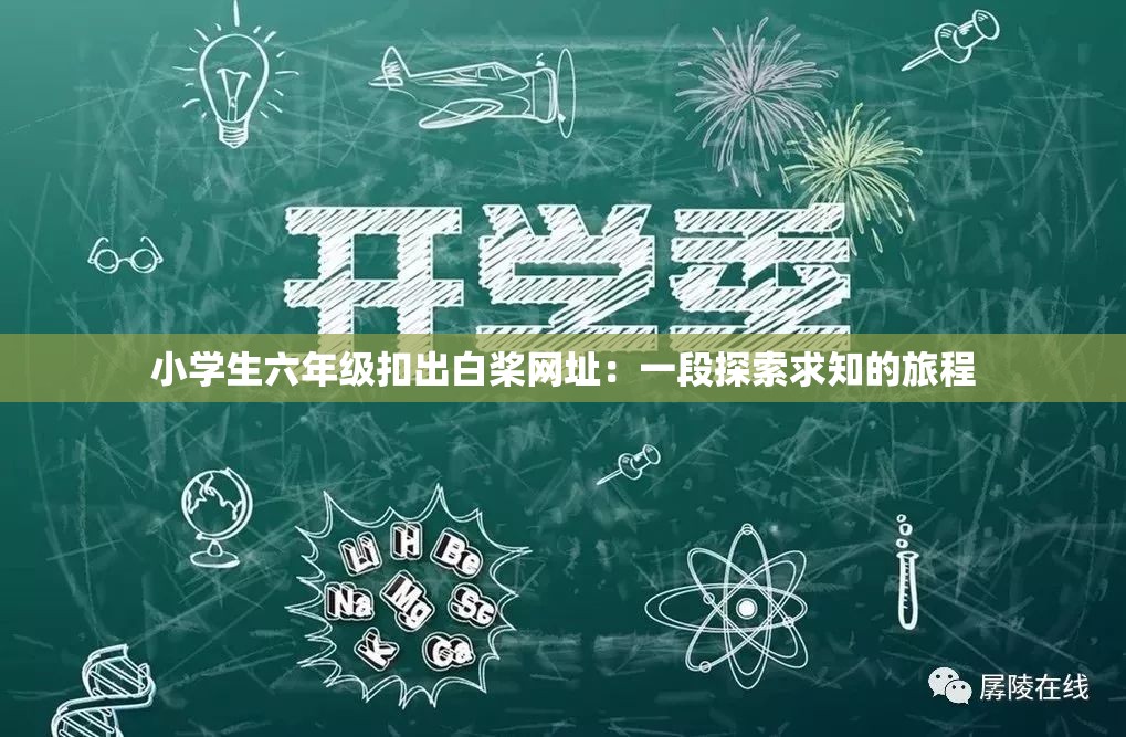 小学生六年级扣出白桨网址：一段探索求知的旅程