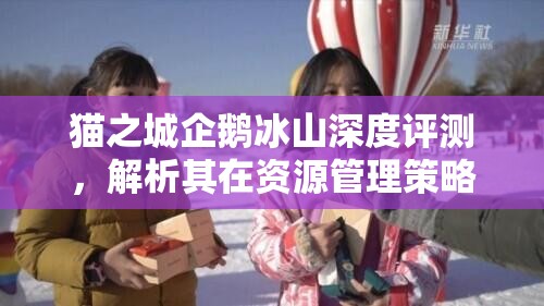 猫之城企鹅冰山深度评测，解析其在资源管理策略中的关键价值与影响