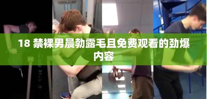 18 禁裸男晨勃露毛且免费观看的劲爆内容