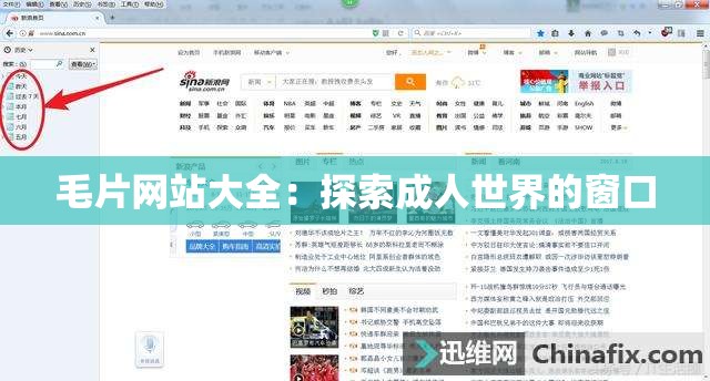 毛片网站大全：探索成人世界的窗口