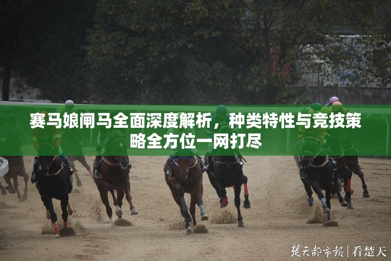 赛马娘闸马全面深度解析，种类特性与竞技策略全方位一网打尽