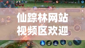 仙踪林网站视频区欢迎您：在这里，发现不一样的精彩