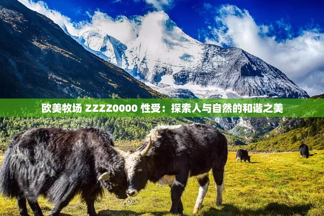 欧美牧场 ZZZZ0000 性受：探索人与自然的和谐之美
