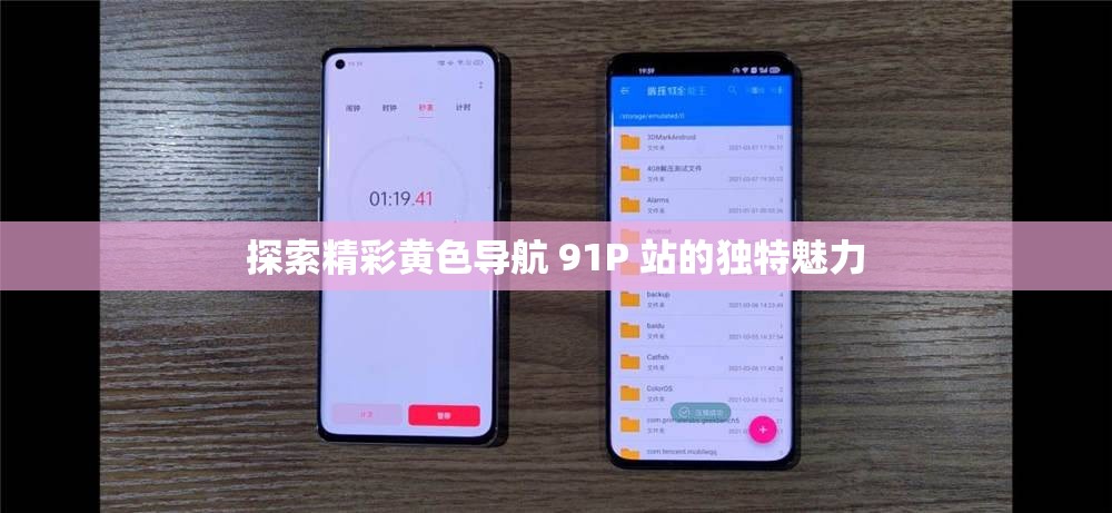 探索精彩黄色导航 91P 站的独特魅力