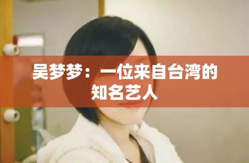 吴梦梦：一位来自台湾的知名艺人