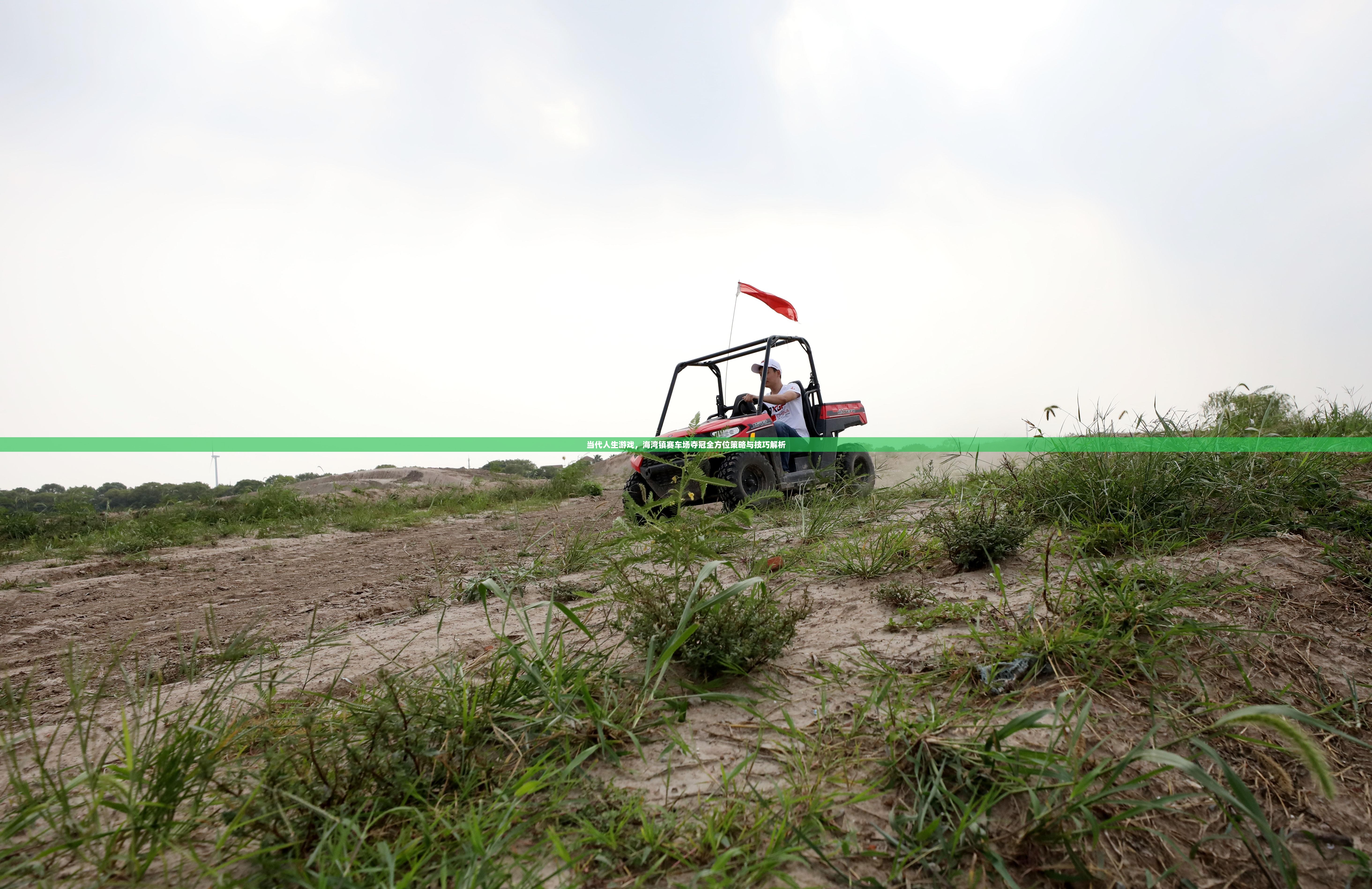 当代人生游戏，海湾镇赛车场夺冠全方位策略与技巧解析