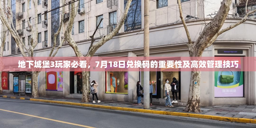 地下城堡3玩家必看，7月18日兑换码的重要性及高效管理技巧