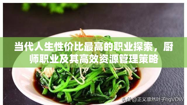 当代人生性价比最高的职业探索，厨师职业及其高效资源管理策略