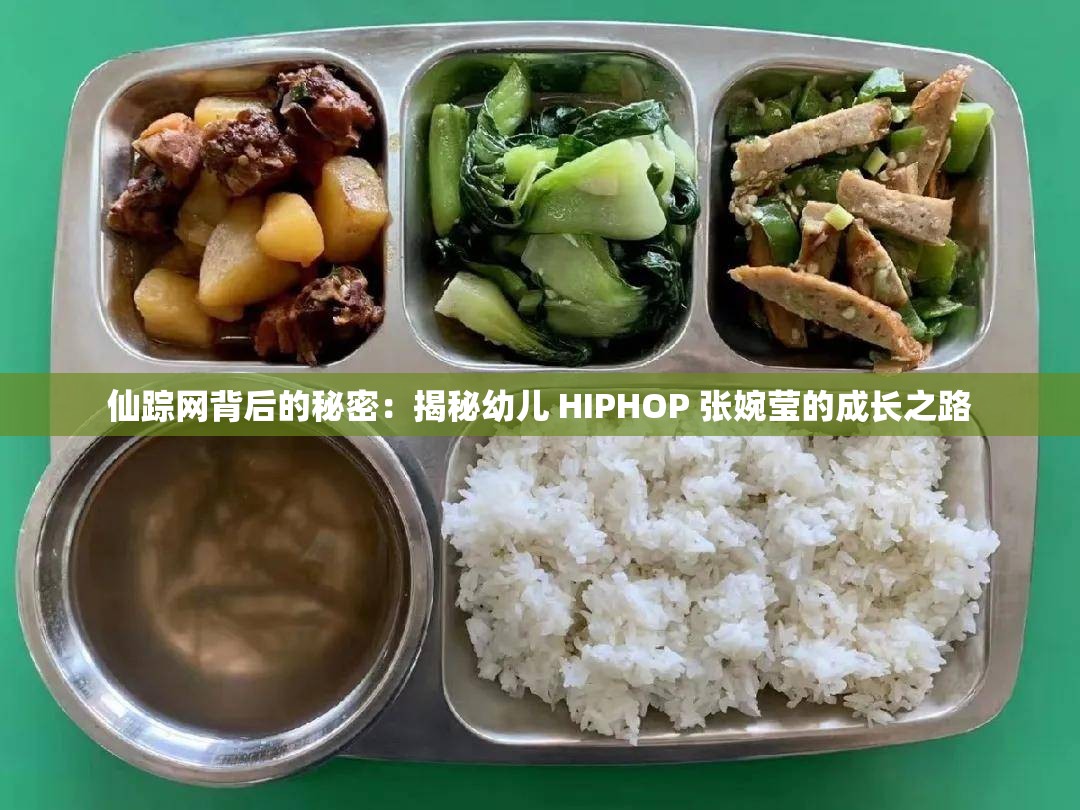 仙踪网背后的秘密：揭秘幼儿 HIPHOP 张婉莹的成长之路
