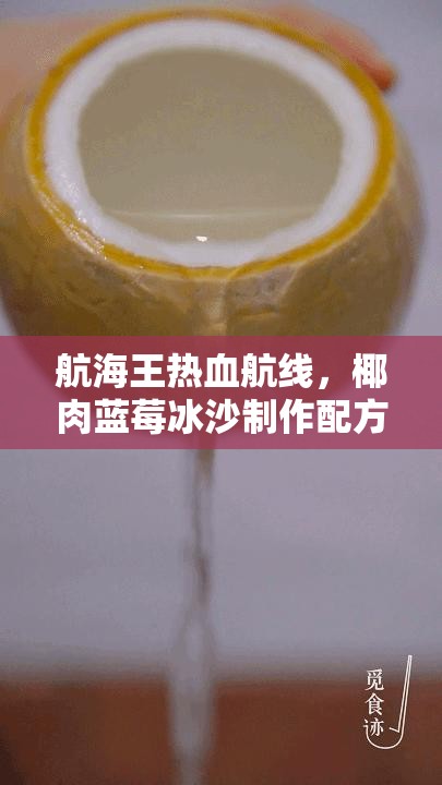 航海王热血航线，椰肉蓝莓冰沙制作配方揭秘及其在资源管理中的关键性分享