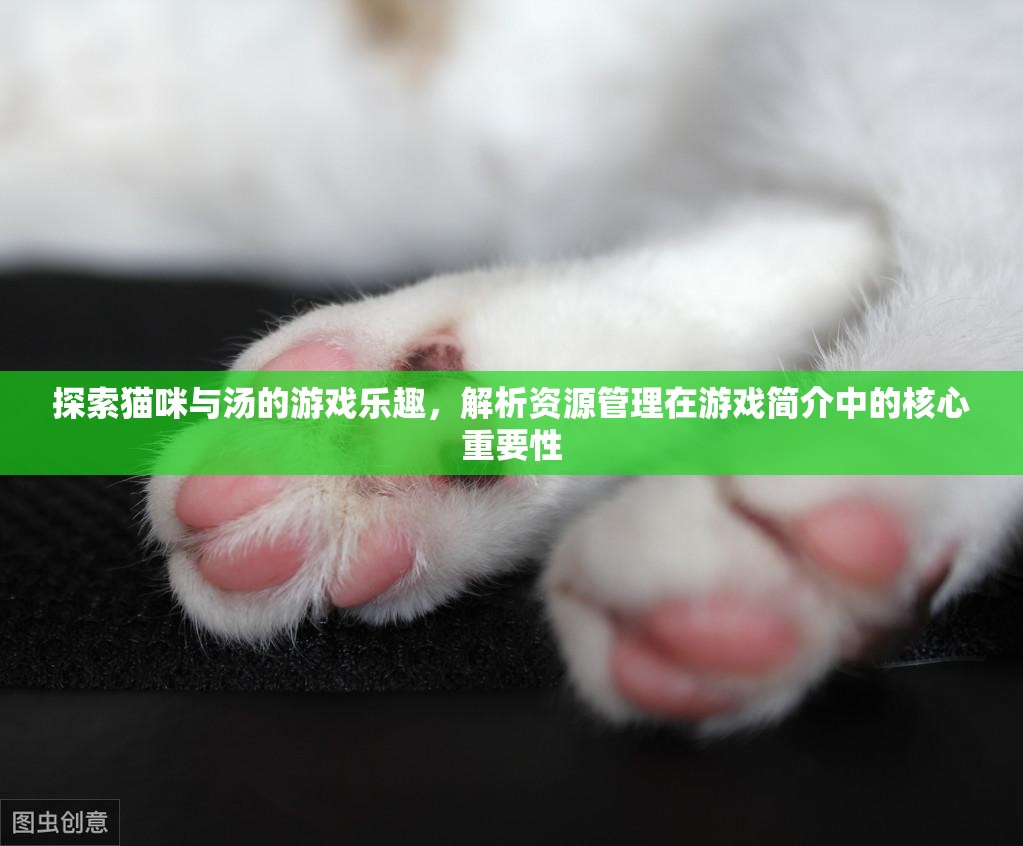 探索猫咪与汤的游戏乐趣，解析资源管理在游戏简介中的核心重要性