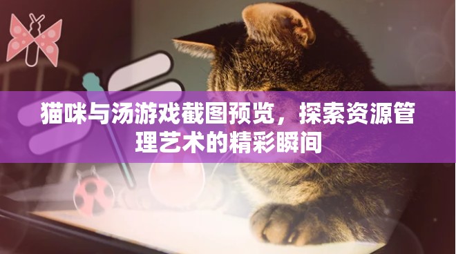 猫咪与汤游戏截图预览，探索资源管理艺术的精彩瞬间
