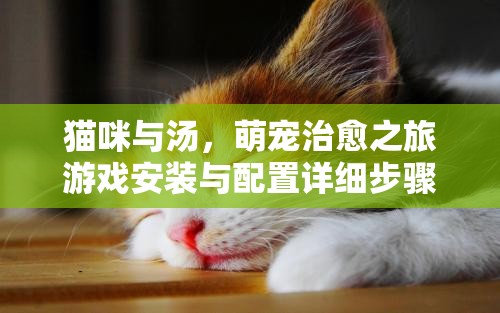 猫咪与汤，萌宠治愈之旅游戏安装与配置详细步骤全攻略