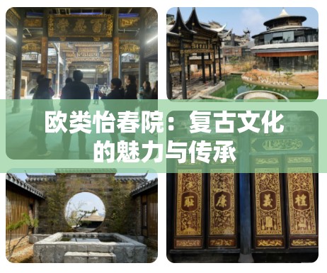 欧类怡春院：复古文化的魅力与传承