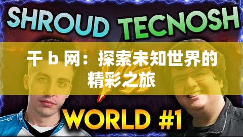干 b 网：探索未知世界的精彩之旅