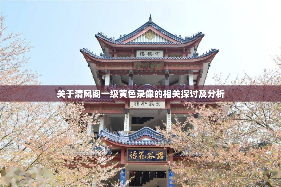 关于清风阁一级黄色录像的相关探讨及分析