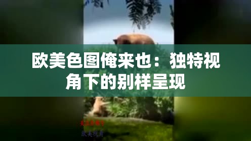 欧美色图俺来也：独特视角下的别样呈现