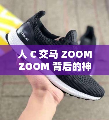 人 C 交马 ZOOMZOOM 背后的神秘故事