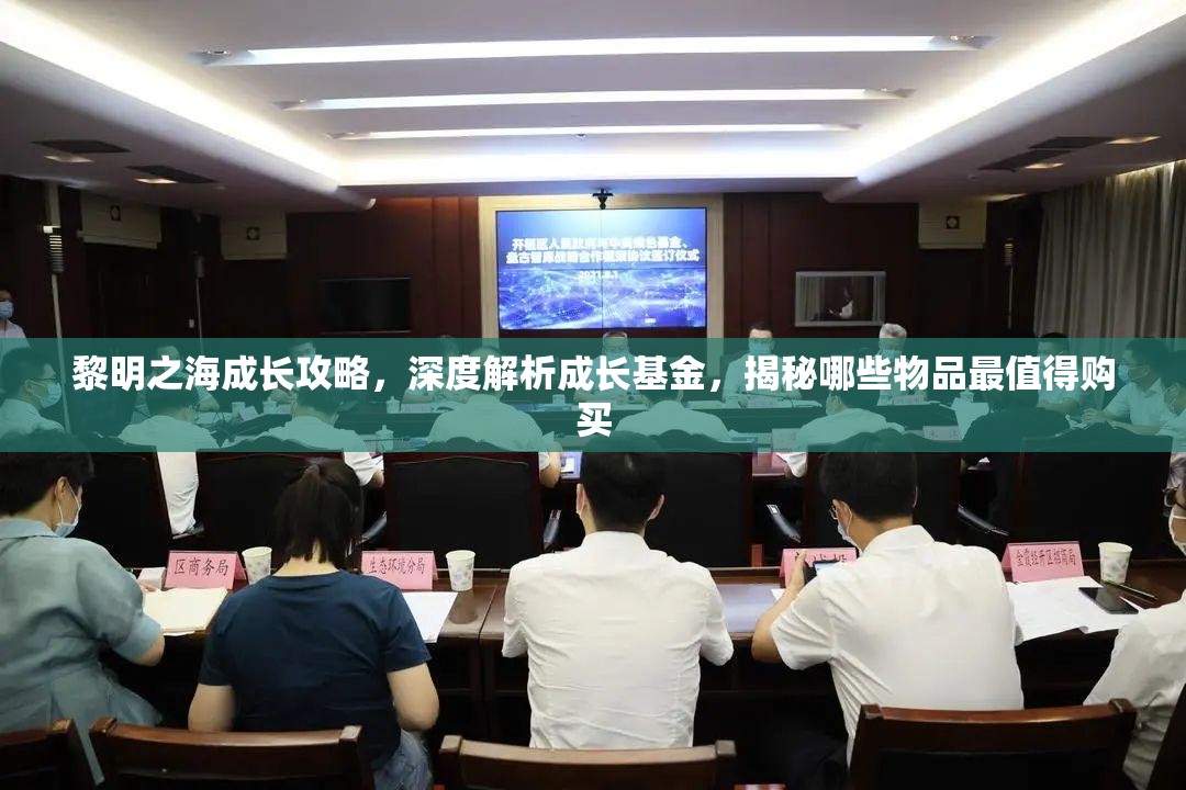 黎明之海成长攻略，深度解析成长基金，揭秘哪些物品最值得购买