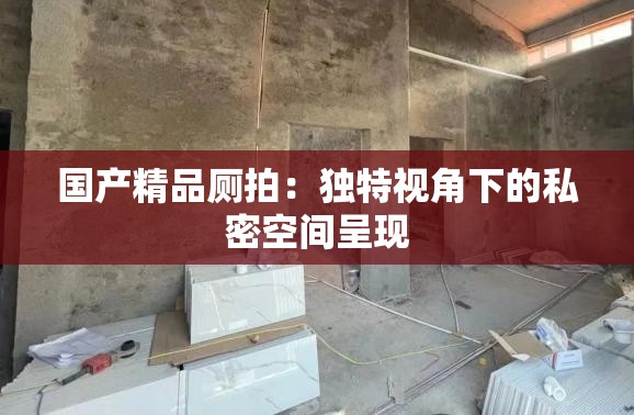 国产精品厕拍：独特视角下的私密空间呈现