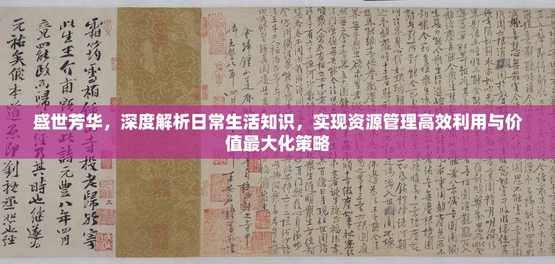 盛世芳华，深度解析日常生活知识，实现资源管理高效利用与价值最大化策略