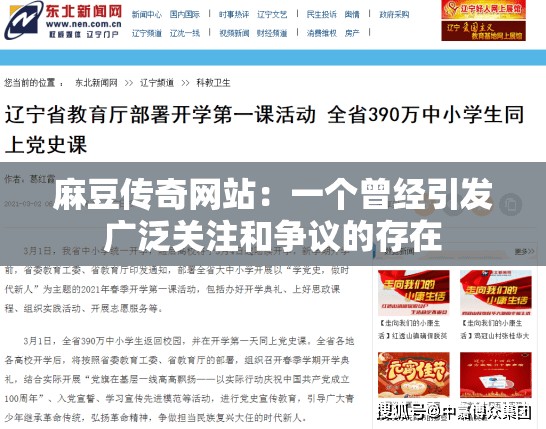 麻豆传奇网站：一个曾经引发广泛关注和争议的存在