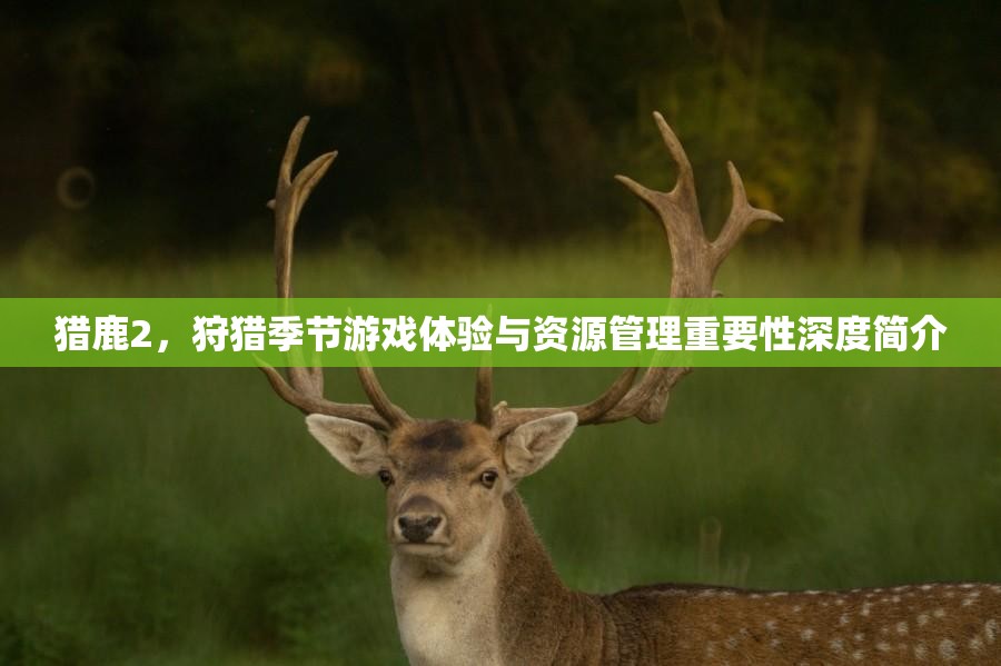 猎鹿2，狩猎季节游戏体验与资源管理重要性深度简介