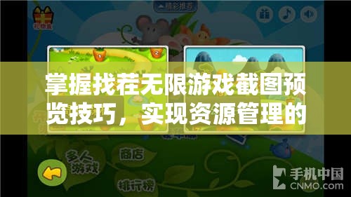 掌握找茬无限游戏截图预览技巧，实现资源管理的高效艺术与便捷
