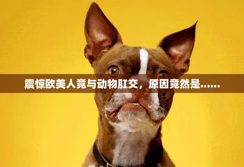 震惊欧美人竟与动物肛交，原因竟然是......