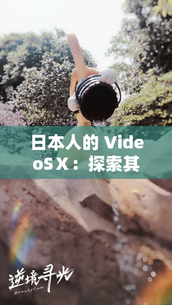 日本人的 VideoSⅩ：探索其独特魅力与内涵