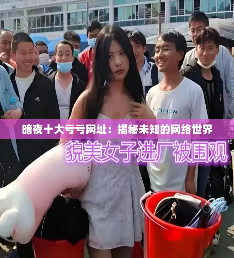 暗夜十大亏亏网址：揭秘未知的网络世界